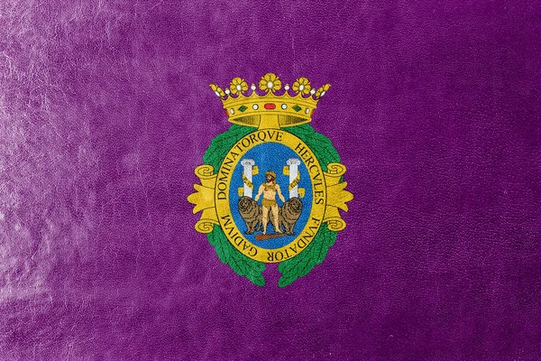 Bandeira de Cádiz, Espanha, pintada sobre textura de couro — Fotografia de Stock