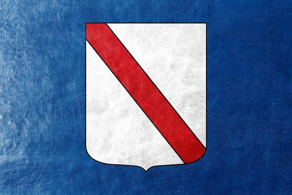 Vlag van Campanië, Italië, geschilderd op leder texture — Stockfoto