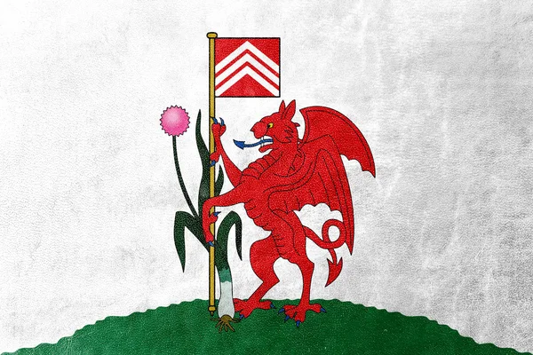 Flaga miasta Cardiff, w Walii, Uk, malowane na tekstury skóry — Zdjęcie stockowe