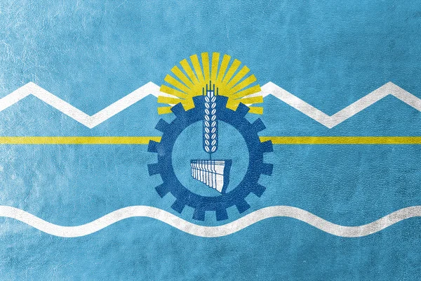 Flagge der Provinz Chubut, Argentinien, auf Lederstruktur gemalt — Stockfoto