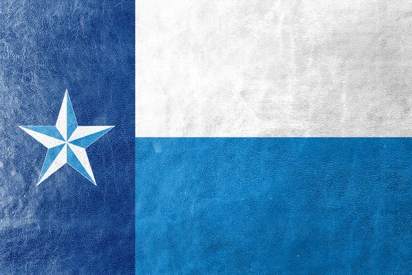 Flagge von Dallas County, Texas, Vereinigte Staaten, auf Lederstruktur gemalt — Stockfoto