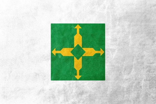 Vlag van Distrito Federal, Brazilië, geschilderd op leder texture — Stockfoto