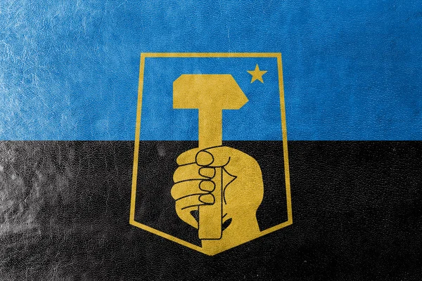 Vlajka Doněck, Ukrajina, malované na kožené textury — Stock fotografie