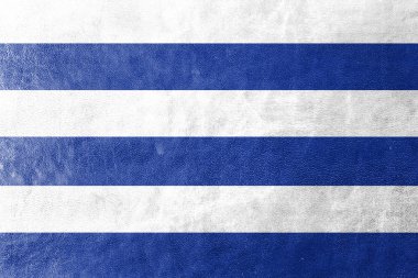 Dunkirk, Fransa, bayrağı deri dokusu üzerinde boyalı