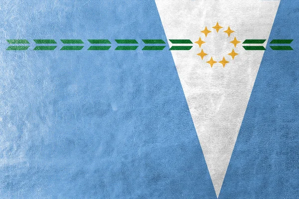 Flagge der Provinz formosa, Argentinien, auf Lederstruktur gemalt — Stockfoto