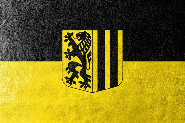 Vlag van Dresden (Duitsland), geschilderd op leder texture — Stockfoto