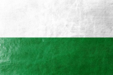 Deri dokusu üzerinde: Esmeraldas, Ecuador, bayrağı boyalı