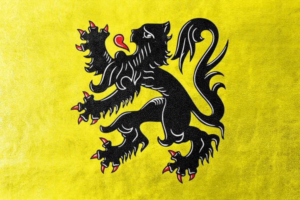 Bandiera delle Fiandre, Belgio, dipinta su texture in pelle — Foto Stock