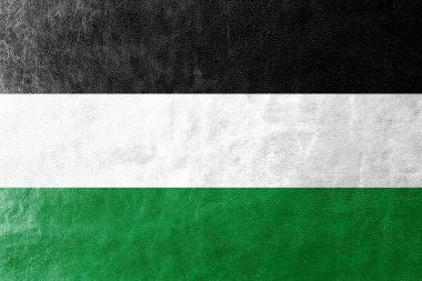Gelsenkirchen, Almanya, bayrağı deri dokusu üzerinde boyalı