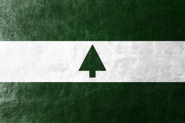 Greenbelt, Maryland, ABD, bayrağı deri dokusu üzerinde boyalı