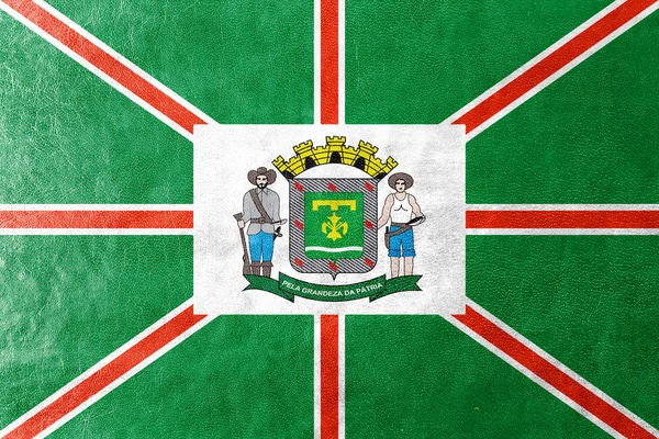 Vlajka Goiania, stát Paraguaye, Brazílie, namalované na kůže textury — Stock fotografie