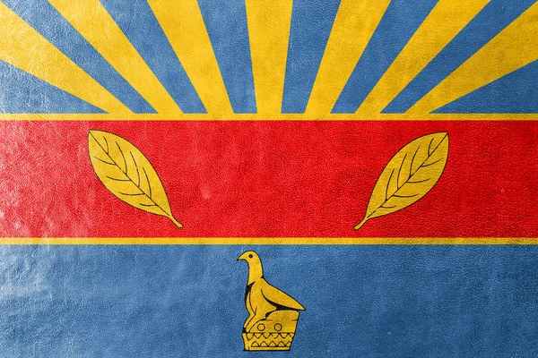 Flag of Harare, Zimbabwe, painted on leather texture — Stock Photo, Image