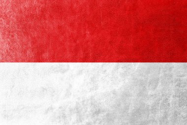 Hesse, Almanya, bayrağı deri dokusu üzerinde boyalı