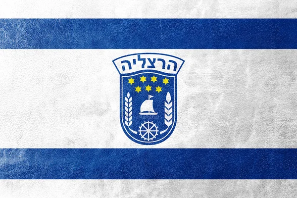 Bandera de Herzliya City, Israel, pintado sobre textura de cuero —  Fotos de Stock