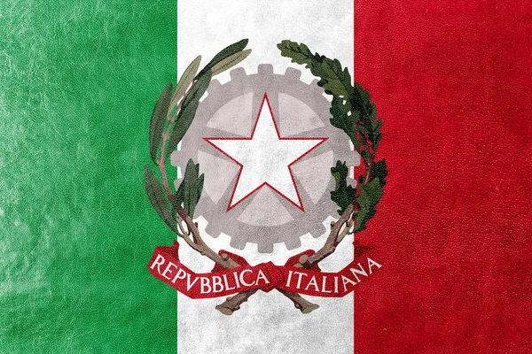 Bandiera d'Italia con emblema nazionale, dipinta su texture in pelle — Foto Stock