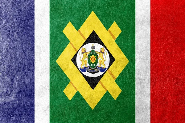 Bandeira de Johannesburg, África do Sul, pintada sobre textura de couro — Fotografia de Stock