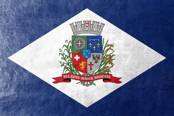 Flagge von Joinville, Bundesstaat Santa Catarina, Brasilien — Stockfoto