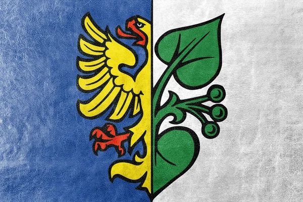 Flaga Karvina, Czechy, malowane na tekstury skóry — Zdjęcie stockowe