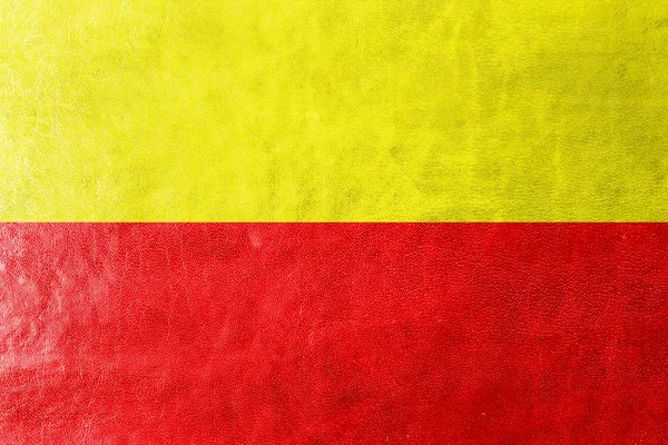 Vlag van Karnataka, India, geschilderd op leder texture — Stockfoto