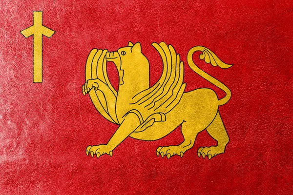 Прапор Kaspi, Грузії, намальовані на текстуру шкіри — стокове фото