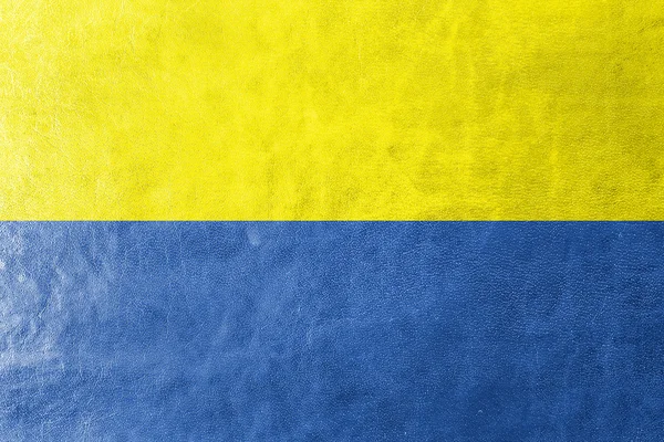 Flagge von latacunga, ecuador, auf Lederstruktur gemalt — Stockfoto