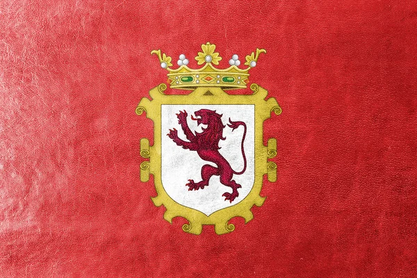 Bandera de León, España, pintada sobre textura de cuero — Foto de Stock