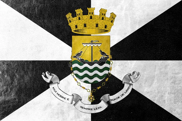 팔의 외 투, 포르투갈 리스본의 깃발 — 스톡 사진