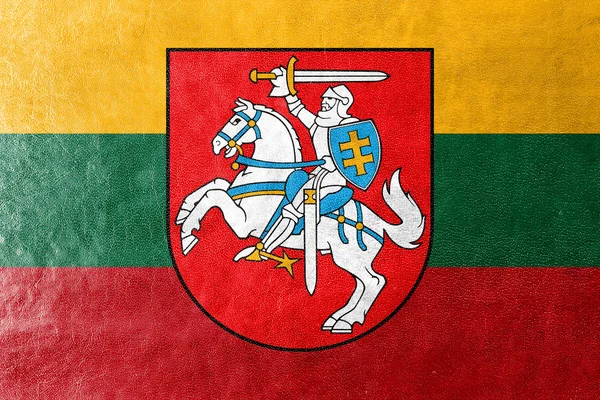 Vlag van Litouwen met wapenschild, geschilderd op leder texture — Stockfoto