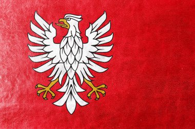 Masovian Voyvodalığı, Polonya, bayrağı deri dokusu üzerinde boyalı