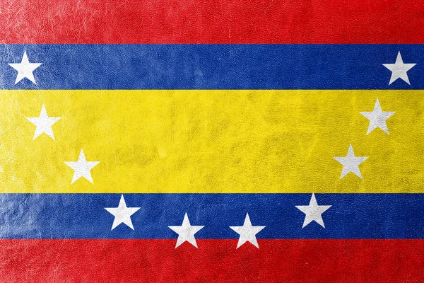 Flagga Loja provinsen, Ecuador, målade på läder texture — Stockfoto