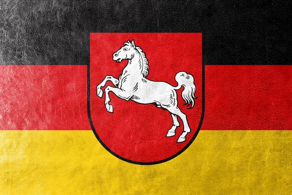 Bandera de Baja Sajonia, Alemania, pintada sobre textura de cuero —  Fotos de Stock