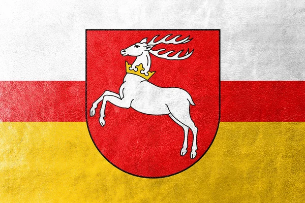 Flagge der Woiwodschaft Lublin, Polen, auf Lederstruktur gemalt — Stockfoto