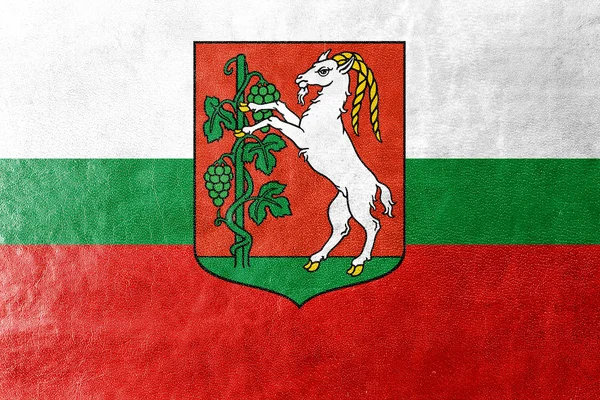 Flagge von Lublin, Polen, auf Lederstruktur gemalt — Stockfoto