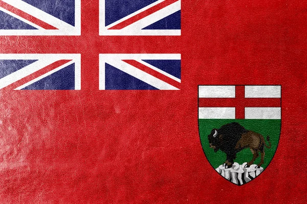 Bandeira da província de Manitoba, Canadá, pintada sobre textura de couro — Fotografia de Stock