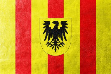 Mechlin (Mechelen), Belçika, bayrağı deri dokusu üzerinde boyalı