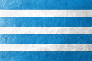 Deri dokusu üzerinde çoğu şehir, Çekya, bayrağı boyalı