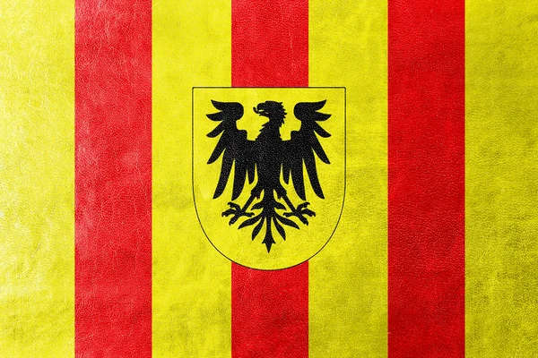 Bandera de Mechlin (Mechelen), Bélgica, pintado sobre textura de cuero — Foto de Stock