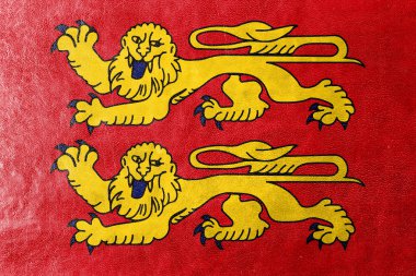 Normandy, Fransa, bayrağı deri dokusu üzerinde boyalı