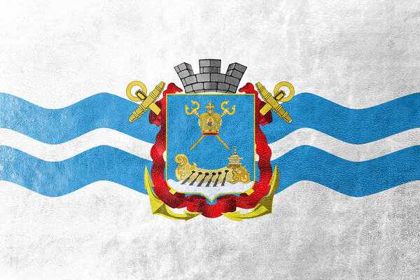 Flag of Mykolaiv (Nikolaev), Ukraine, painted on leather texture