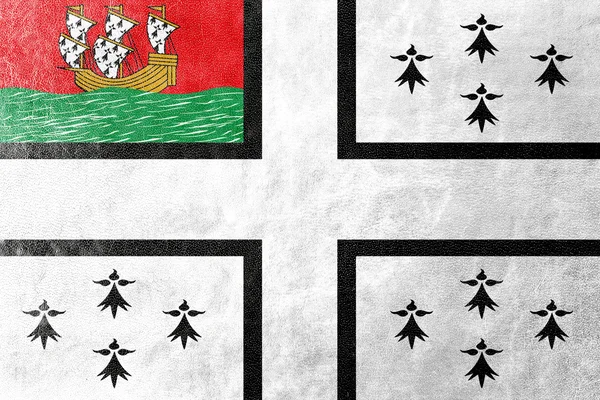 Прапор Нанті, Франція, намальовані на текстуру шкіри — стокове фото