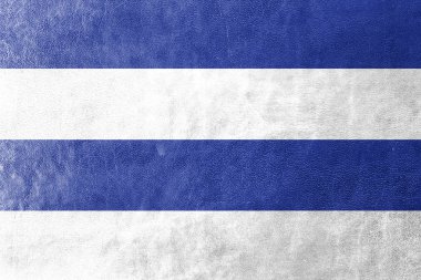 Oslo, Norveç, 1924-2000, deri dokusu üzerinde boyalı bayrağı