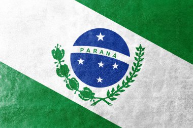 Flag of Parana State, Brazil, painted on leather texture clipart