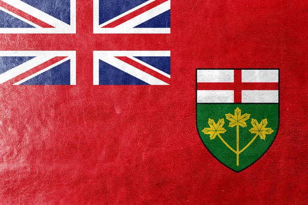 Vlag van de provincie Ontario, Canada, geschilderd op leder texture — Stockfoto