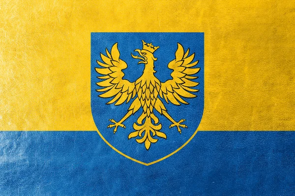 Bandiera del Voivodato di Opole con Stemma, Polonia — Foto Stock