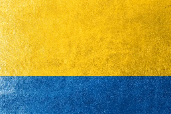 Flag of Opole Voivodeship, Poland, painted on leather texture — Stock Photo, Image