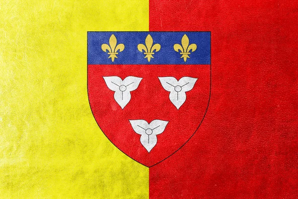 Σημαία της Ορλεάνης με το εθνόσημο, Γαλλία — Φωτογραφία Αρχείου