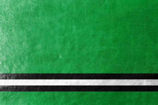Flag of Osipovichi, Belarus, painted on leather texture — Stock Photo, Image