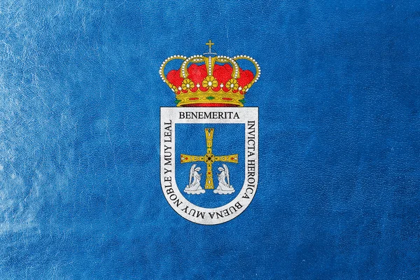 Bandeira de Oviedo, Espanha, pintada sobre textura de couro — Fotografia de Stock