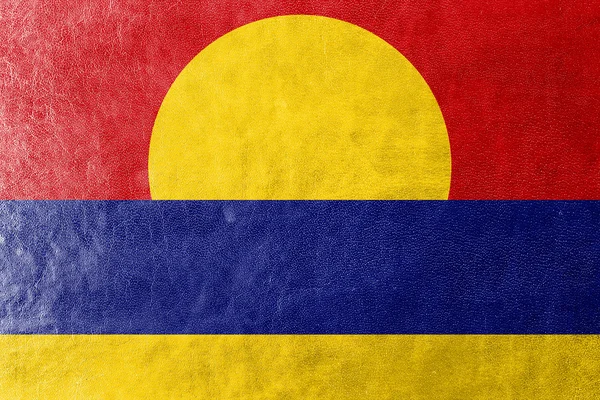 Vlag van Palmyra-atol (unofficial), geschilderd op leder texture — Stockfoto