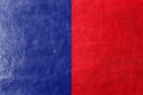 Flag of Paris, France, painted on leather texture — Stock Photo, Image
